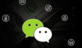 最好的微信网名（1988属龙人最好的微信网名）