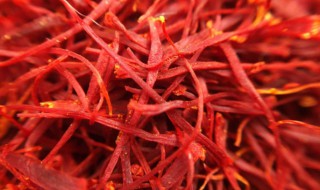 藏红花有什么药用价值（藏红花有什么药用价值能治什么病）