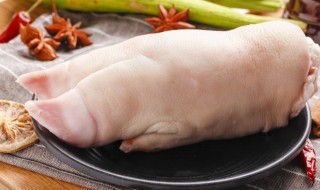 猪脚的拼音 猪脚的拼音怎么读