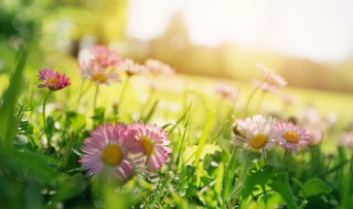 好听的微信昵称女霸气高冷(好听的微信昵称女霸气高冷一个字)