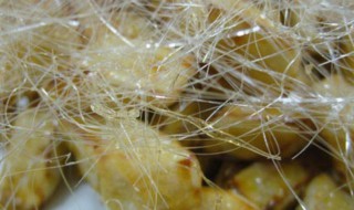 挂霜的做法 挂霜的做法视频