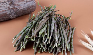 石斛煲汤食谱大全 石斛煲汤食谱大全窍门