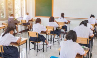 养几支富贵竹对孩子考试有帮助 富贵竹养几根对孩子读书好