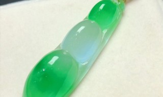 翡翠豆飘是什么意思 翡翠豆种飘绿