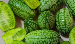 拇指西瓜好吃吗（拇指西瓜有什么营养）
