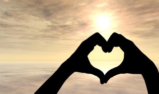 养几支百合招桃花运(百合养几只招财)