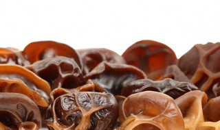 木耳段木种植方法 木耳栽培种制作方法