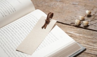 伴的组词（办的组词）