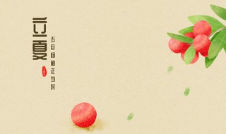 2022立夏说说心情短语（2021立夏的句子短句唯美）