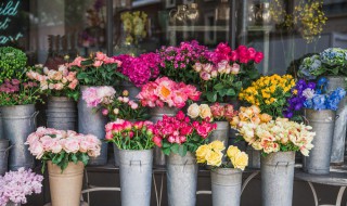 送花给女朋友送多少朵 送花给女朋友送多少朵合适