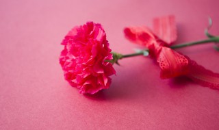 庆祝结婚纪念日送什么花（结婚纪念日送什么花）