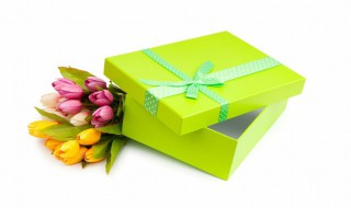 郁金香有效养殖方法 郁金香盆栽养殖方法