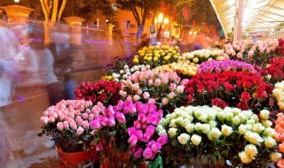 七月生日花语和祝福意义（农历七月的花语）