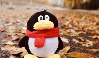 qq网名女生可爱小清新（qq网名大全女生小清新可爱）