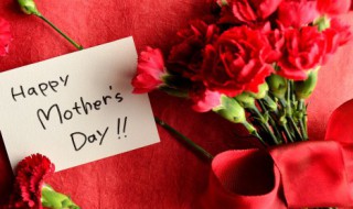康乃馨送母亲要几朵 送给母亲的康乃馨要几朵