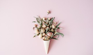 常见花卉代表的寓意（花卉的象征寓意）