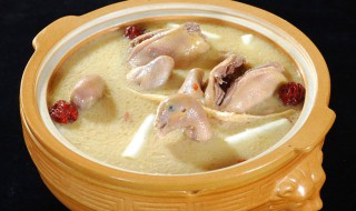 鸽子汤的家常做法 鸽子汤的家常做法大全