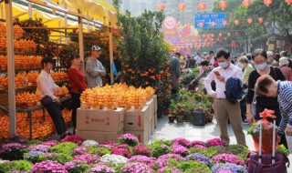我国传统节日的意义和送花含义（节日送花和平时送花的区别）