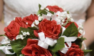 节日送花大全（节日送花大全 节日送什么花）