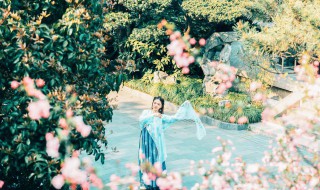 赞美女人漂亮的诗句（赞美女人漂亮的诗句现代诗）