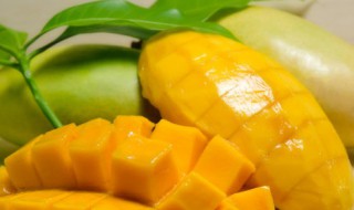 小台芒是几月份的水果 小台芒是什么季节的水果