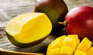 小台芒果产地在哪里（小台芒果的产地在哪里）