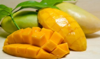 贵妃芒产地（云南贵妃芒产地）