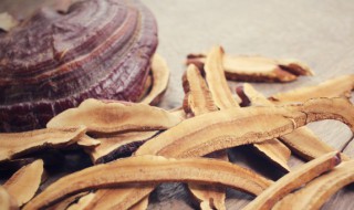 灵芝的功效与吃法 灵芝的食用功效