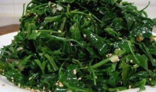 灰灰菜的功效和吃法 灰菜包子的做法灰灰菜的功效和吃法