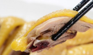 鸡软骨是哪里（鸡软骨是哪里的肉）