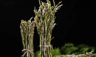 石斛煲汤要提前泡水吗（石斛做汤前要泡水吗泡多久）