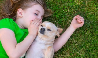 带王字旁的字女孩名字 带王字旁的字女孩名字虎宝宝