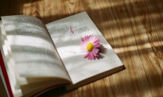 2022二月第一天的早安心情说说（2021四月第一天早安励志说说）