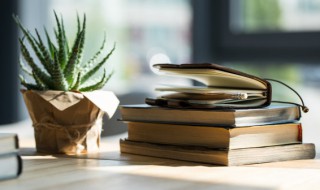 关于桃花最出名的诗句有哪些 关于桃花最出名的古诗