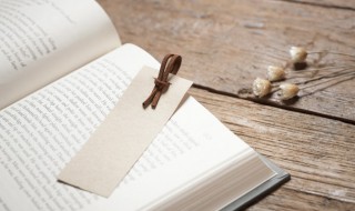 弟的组词(第的组词)