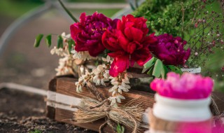 送花的一些小技巧（送花应该注意些什么）