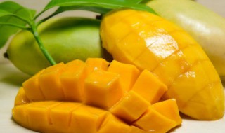 怀孕可以吃芒果不 院长怀孕可以吃芒果不