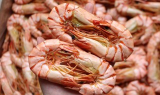 孕妇可以吃基围虾吗(孕妇可以吃基围虾吗中期4个月了)