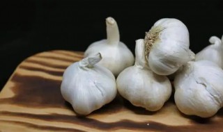 怀孕可以吃大蒜吗 刚刚怀孕可以吃大蒜吗