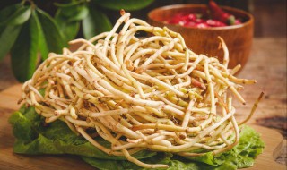 怀孕可以吃鱼腥草吗 怀孕可以吃鱼腥草吗中期