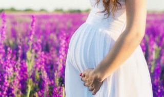 孕妇可以吃雪莲果吗（孕妇可以吃雪莲果吗?有什么好处）