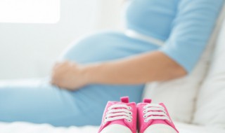 怀孕可以吃木耳吗（怀孕可以吃木耳吗中期）