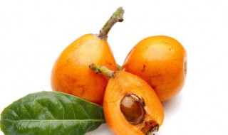 来姨妈可以吃枇杷吗 来姨妈可以吃枇杷不