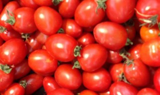 怀孕可以吃小番茄吗 怀孕可以吃小番茄吗中期