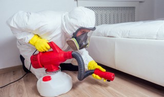 蟑螂怎么抓（家里有只蟑螂怎么抓）