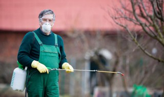 除蜘蛛妙招（什么东西除蜘蛛妙招）