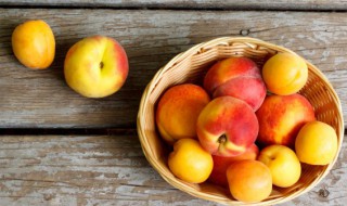 桃和香蕉能一起吃吗(猕猴桃和香蕉能一起吃吗)