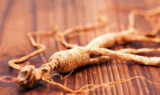 三伏天可以吃红参吗(三伏天能吃参吗)