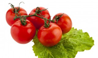 孕妇可以吃番茄吗 血糖高的孕妇可以吃番茄吗