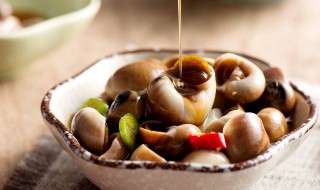 香螺的营养价值及功效(香螺的营养成分)